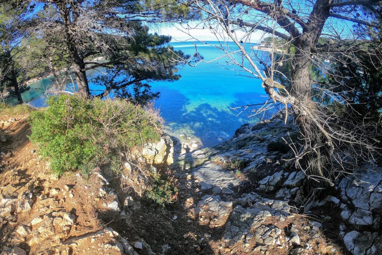 Amaryllis Residence, Apartment Diana & Deluxe Rooms With Shared Kitchen Veli Losinj Exterior photo